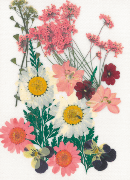 Dried flowers - Pink meadow